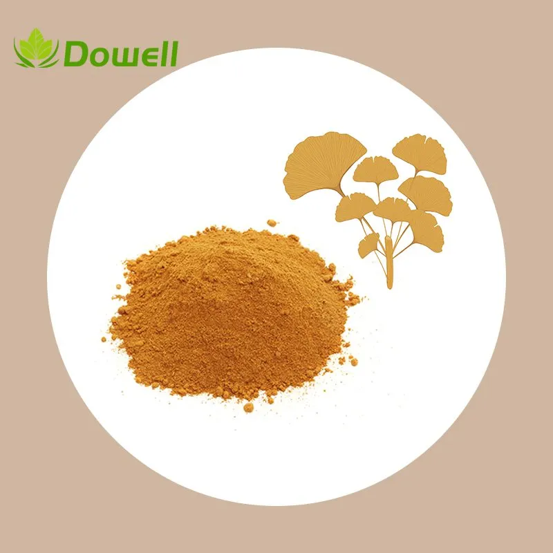 Ginkgo Biloba Extract Powder
